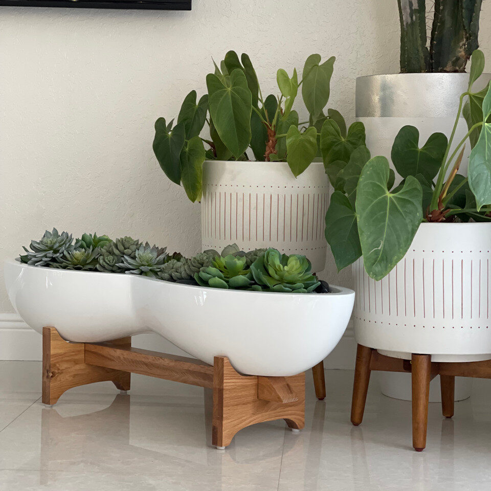 Infinity Planter Infinity White Fiberglass Planter & Stand with Succulents - CFA Design ...