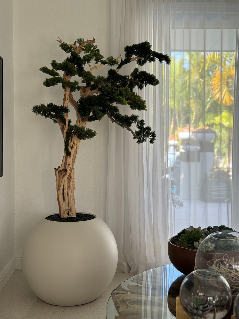 Trailing Bonsai in 30 Satin Beige Globe - CFA Design Group