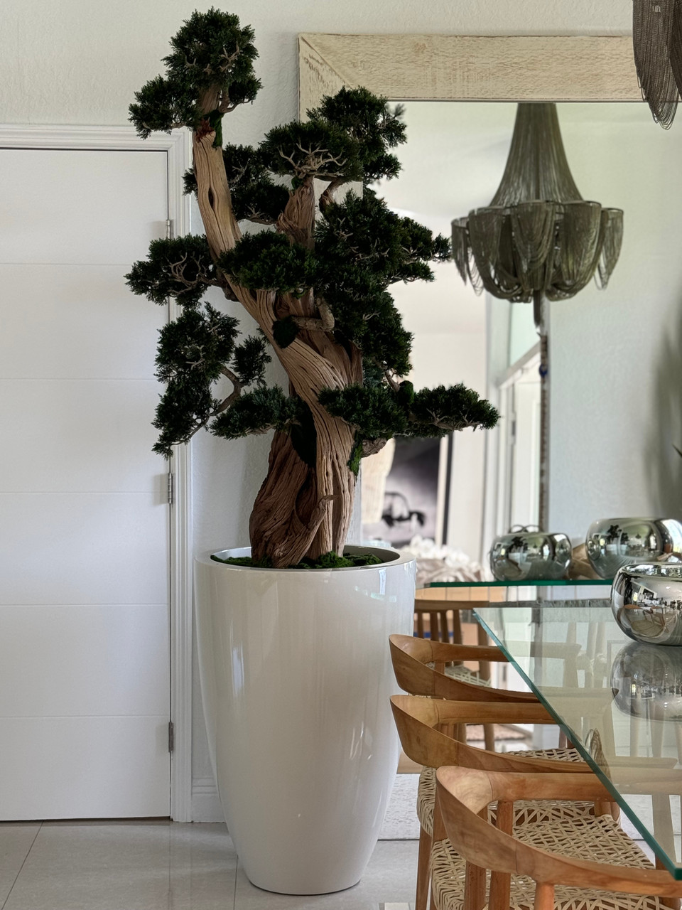 Oversized Bonsai in Brannan Planter - CFA Design Group
