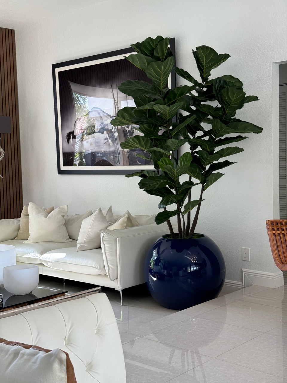 30″ Blue Globe Planter with Fiddle Tree