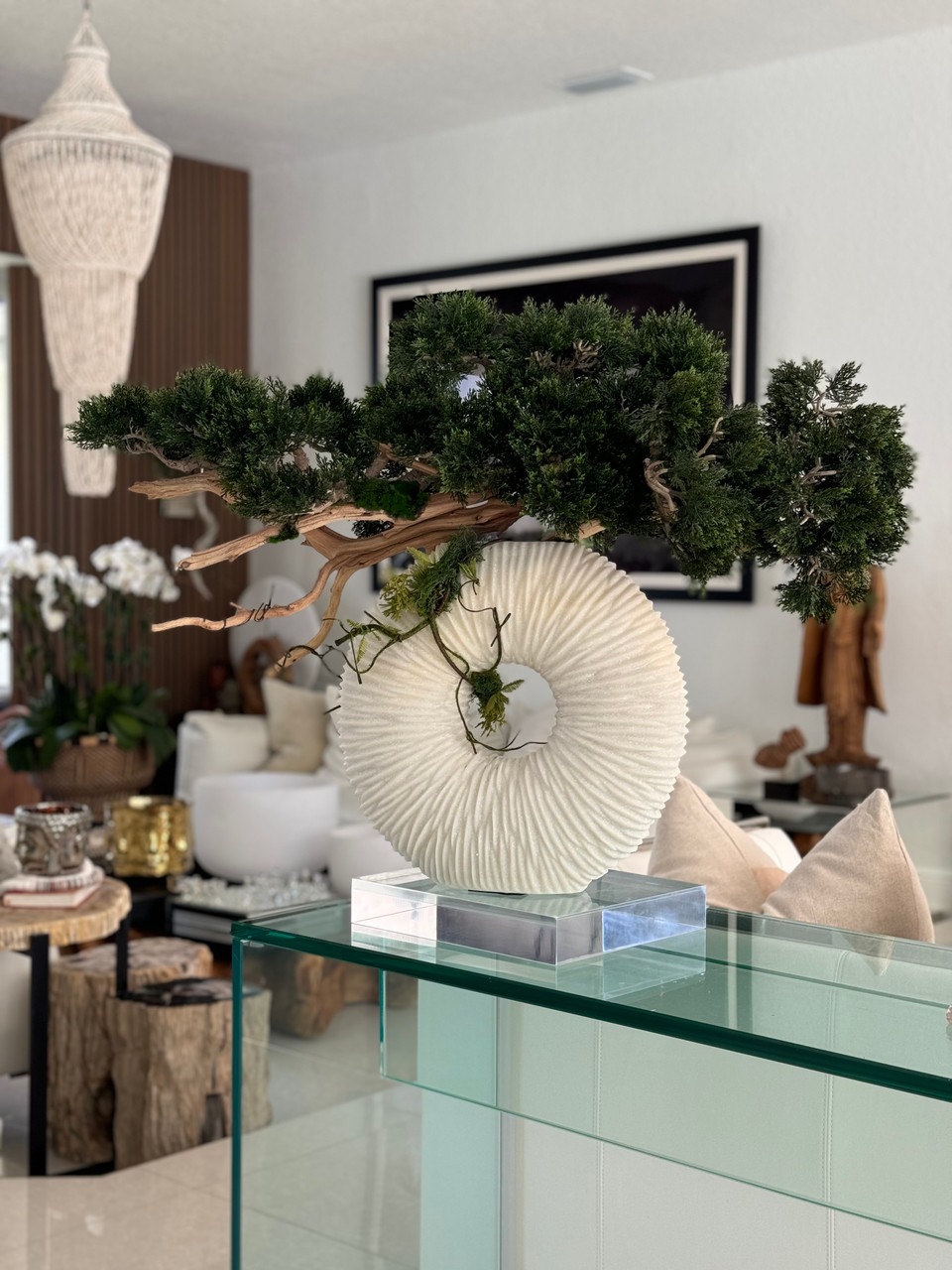 Medium Eternity Vase with Trailing Bonsai Tree and Driftwood
