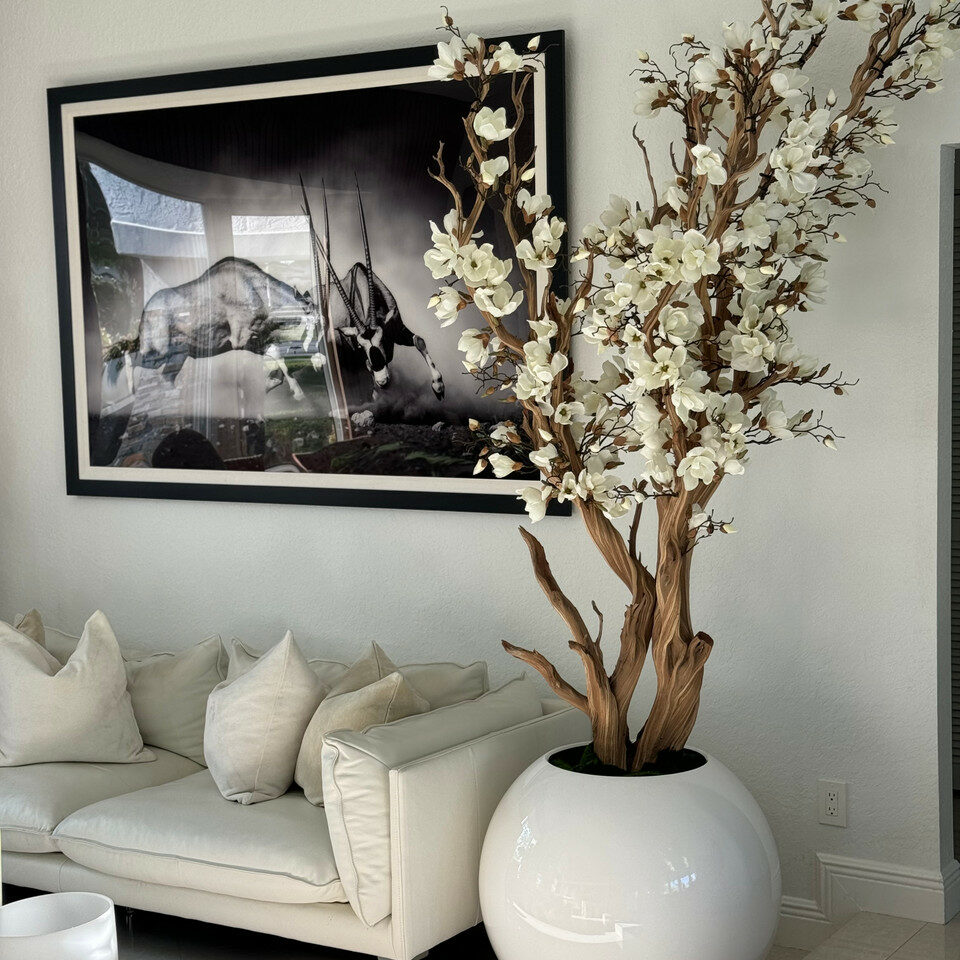 White Magnolia Tree in 30″ Glossy White Globe Planter - CFA Design Group