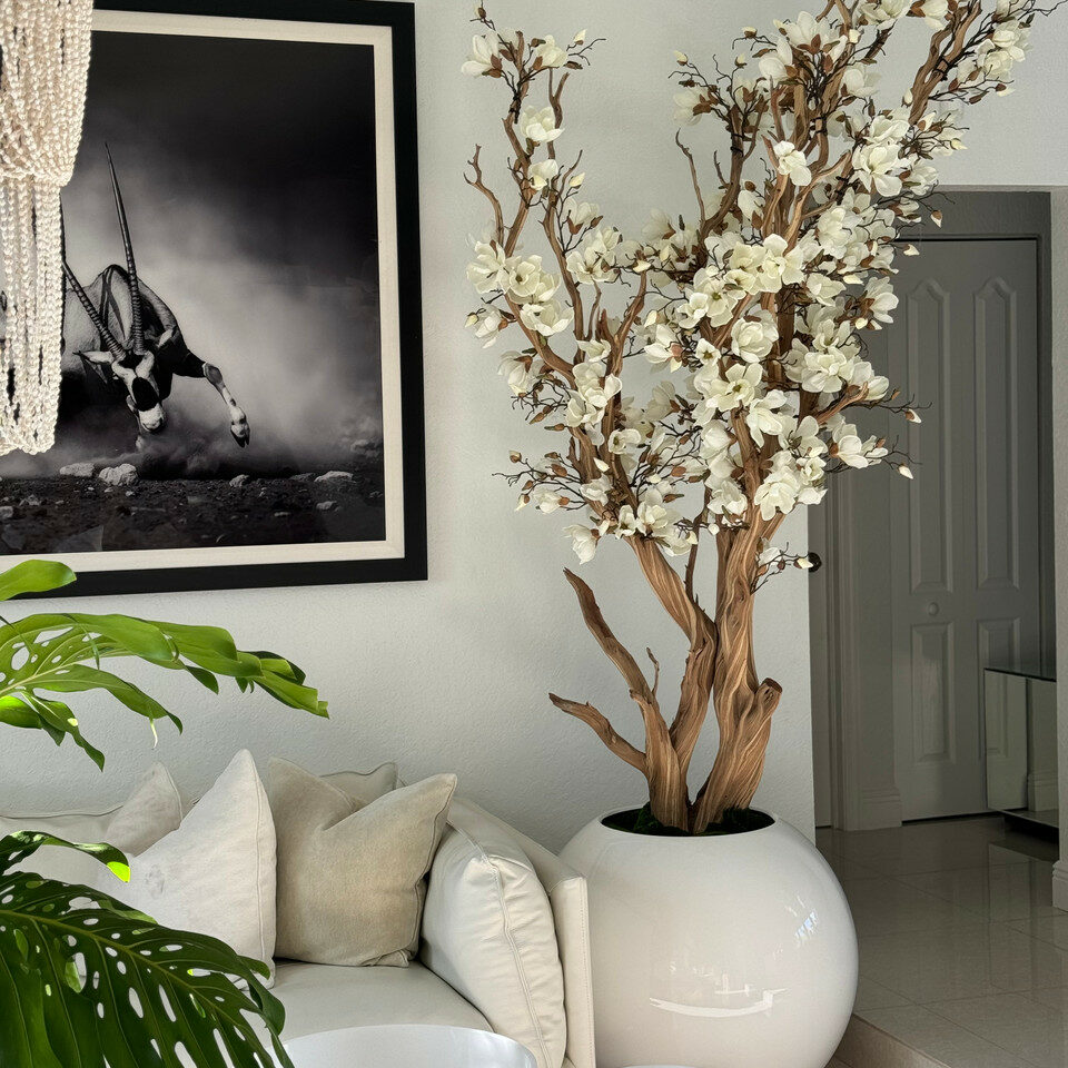 White Magnolia Tree in 30″ Glossy White Globe Planter - CFA Design Group