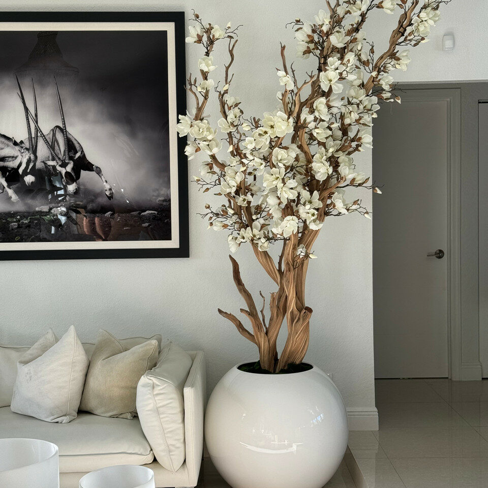 White Magnolia Tree in 30″ Glossy White Globe Planter - CFA Design Group