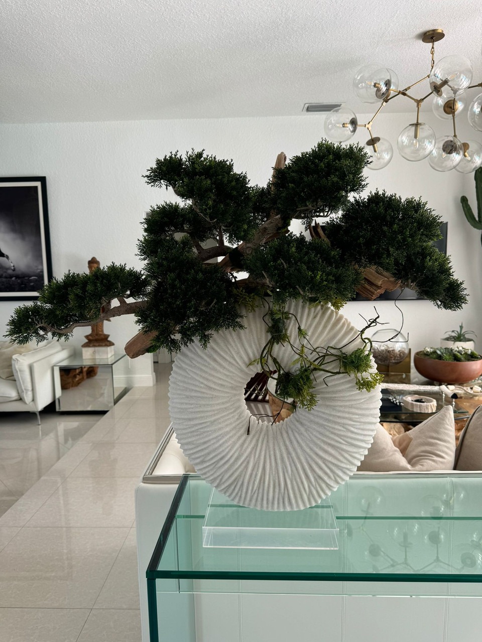 Large Eternity Vase with Trailing Bonsai Tree and Driftwood