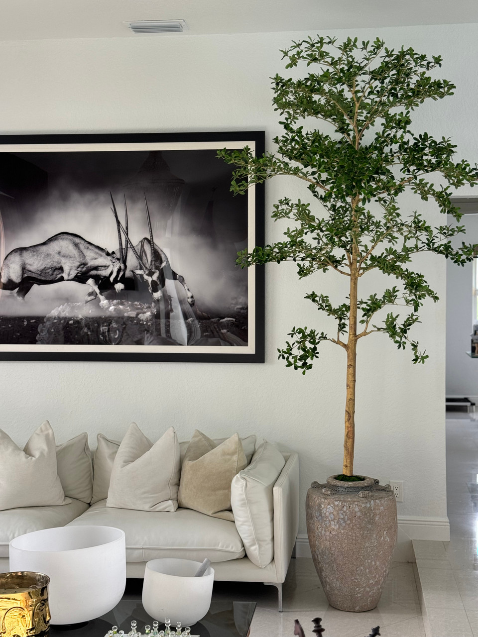 Parthenon Planter with 9′ Shady Lady Tree