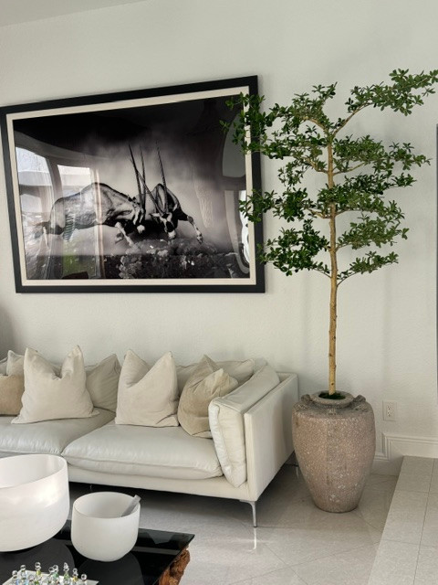 Parthenon Planter with 7′ Shady Lady Tree