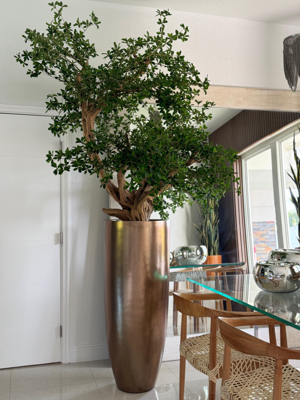Artificial Black Olive Bonsai Tree in Gold Revolver Planter